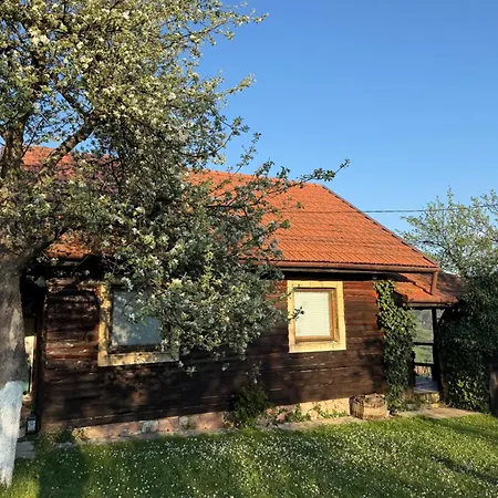 Gorani Дом отдыха Високо